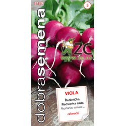 Ředkvička Viola DS