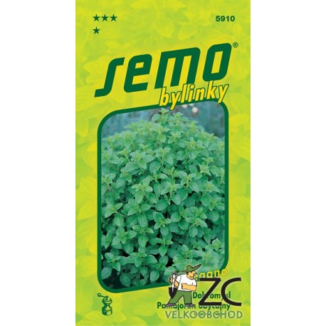 Dobromysl oregano