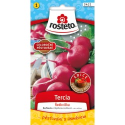 Ředkvička Tercia Rosteto