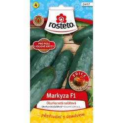 Okurka salátová polní F1 Markyza Rosteto